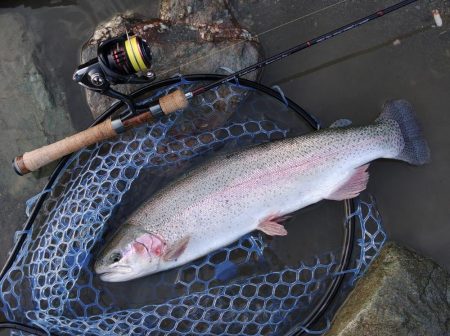 放流不発 ～天竜川ルアーフライ専用区～